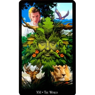 Bộ bài Witches Tarot Kit