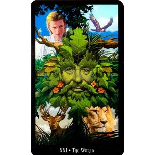 [Bài Tarot chính hãng] Bộ bài Witches Tarot Kit