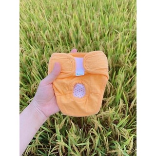 Quần sinh lý cho chó cái