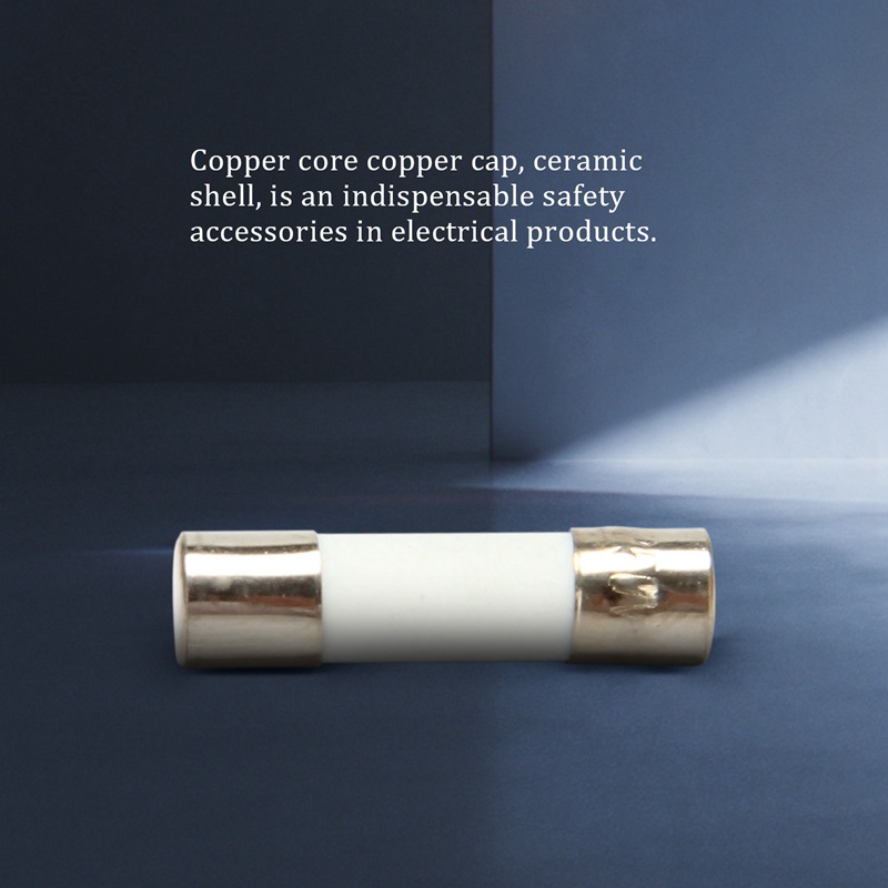 10 Cầu Chì Sứ 250V 0.5A 500mA 5Mmx20Mm