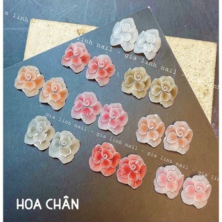 Hoa bột xoáy chân ( set 2b và 10bông )