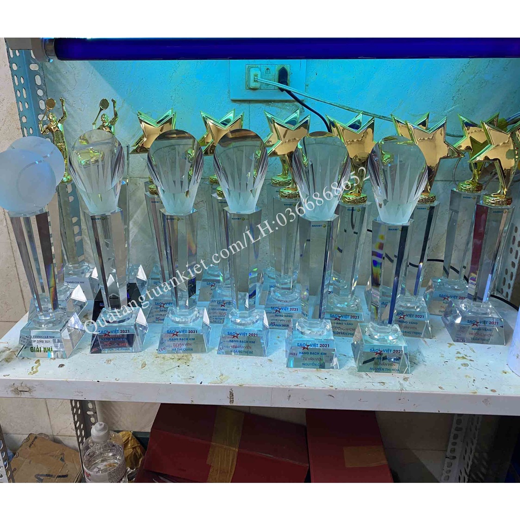 Cúp Pha Lê Cầu Lông