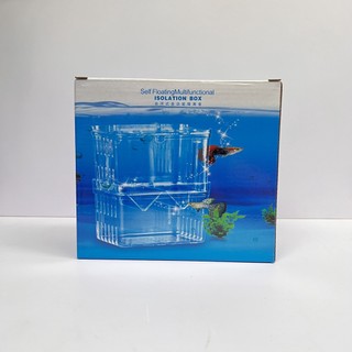 Lồng đẻ mica tách cá đẻ an toàn, lồng đẻ tách đẻ cá bảy màu, cá molly, cá mún và những dòng cá đẻ con