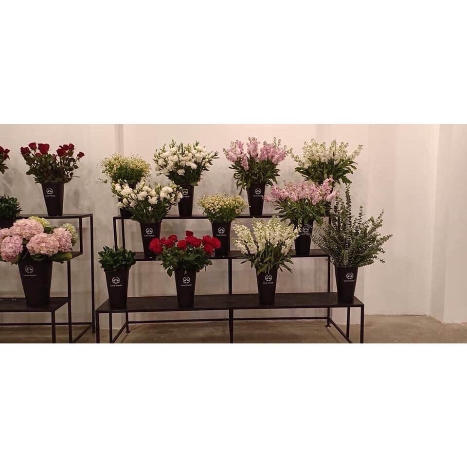 XÔ BÀY HOA CAO CẤP