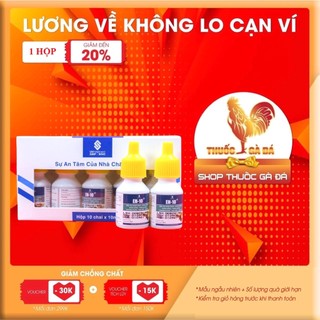 EN - 10 gà phân trắng uống nước nhiều cho gà đá