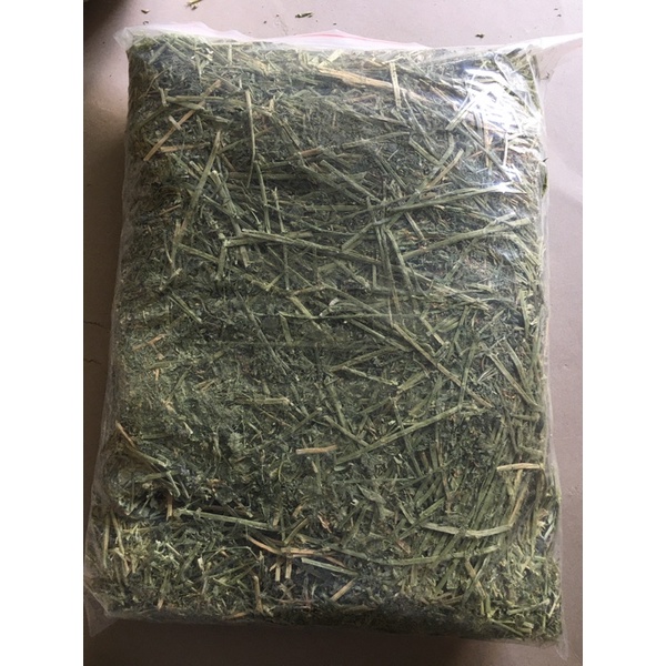 cỏ alfalfa hay nguyên tảng- thức ăn cho thỏ cảnh, bọ ú, chuột lang