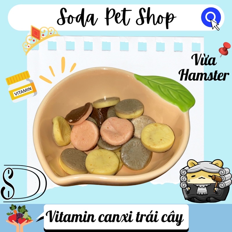 Vitamin Canxi Trái Cây Cho Hamster