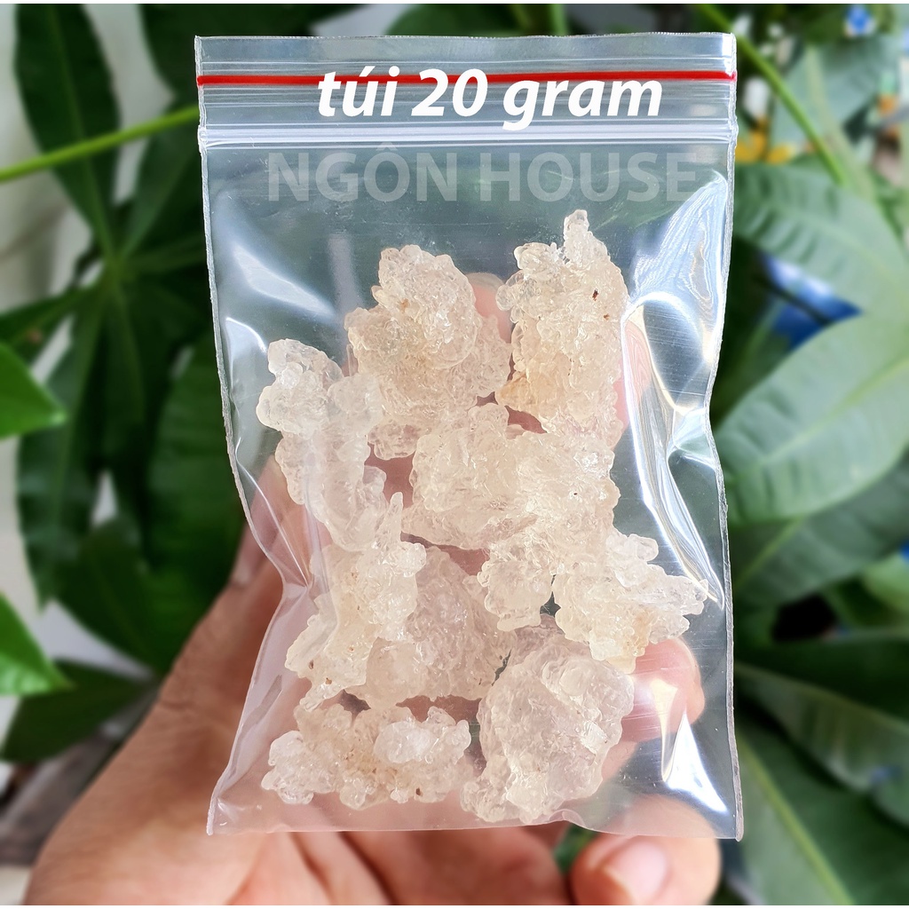 Tuyết Yến Vân Nam - 20 gram