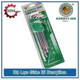 Bộ lục giác bi BerryLion 6 cạnh, 9 chi tiết - Lục giác bi, lục giác mở ốc, lục giác đa năng