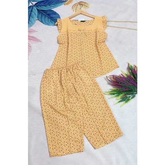 Đồ bộ nữ⚡️FREESHIP⚡️ quần lửng vải mango cao cấp mềm, mịn, mặc mát hợp thời trang .