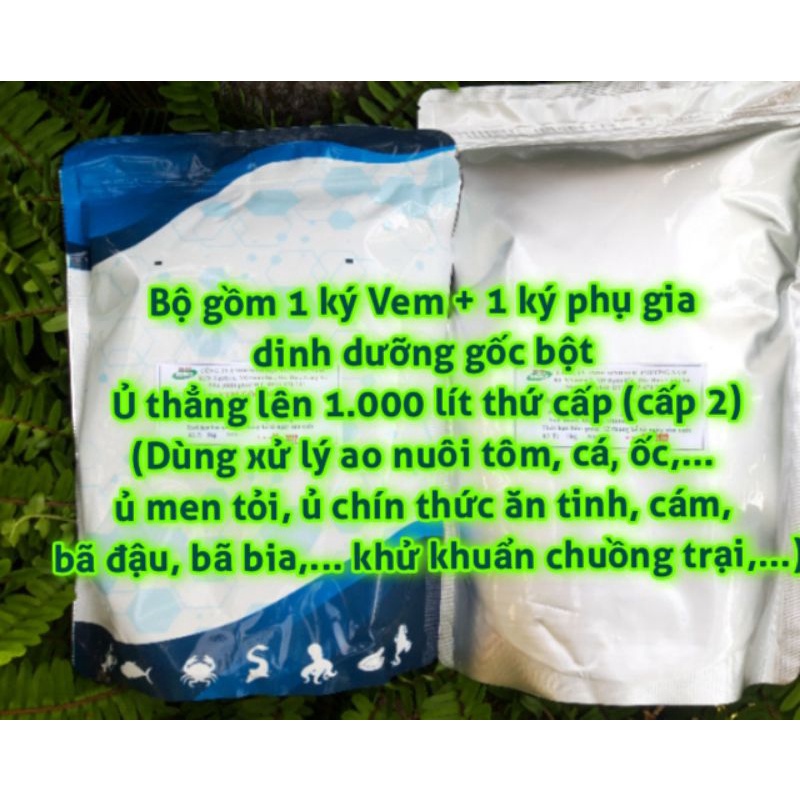 Men ủ tỏi, ủ men thứ cấp BIO PHƯƠNG NAM (Bộ 1.000 lít: 1kg Vem gốc + 1kg phụ gia dinh dưỡng)