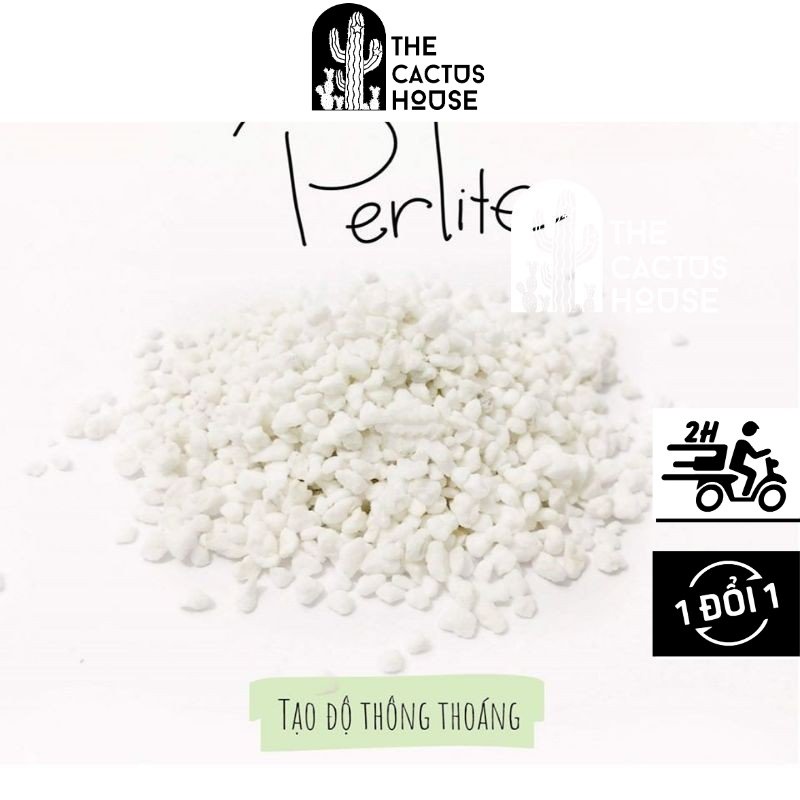 Đá Perlite - Đá nhẹ - Sen đá, xương rồng - Giá thể thoát nước
