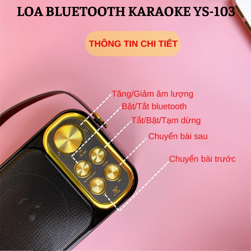 Loa karaoke SDRD 306, Loa karaoke bluetooth mini di động, Tặng Kèm 2 Micro  không Dây, Công suất lớn, loa to, hát hay