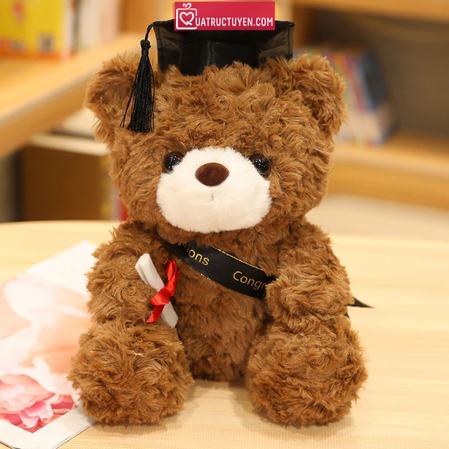 Gấu Teddy nâu mặc đồ cử nhân, gấu bông cầm bằng lông mượt mà đáng yêu tốt nghiệp cử nhân