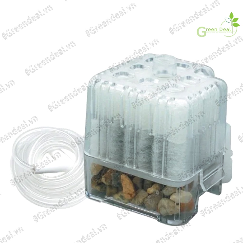 GEX - Roka Boy Compact | Lọc Bio mini làm sạch bụi nước và tạo vi sinh cho hồ cá thủy sinh