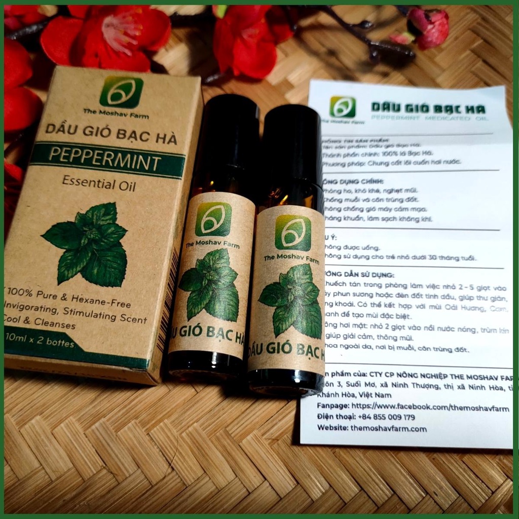 Dầu Gió Bạc Hà Nguyên Chất Chai Lăn Giảm Say Xe Đau Đầu Côn Trùng Xông tinh dầu Hộp 2 chai 10ml