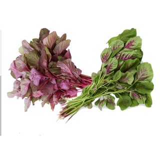 10Gr Hạt Giống Rau Dền Tiều
