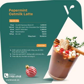 Syrup SHOTT Vị Bạc Hà (Wild Mint) Chai 1 Lít