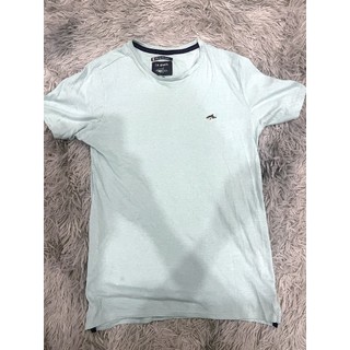 Áo thun le shark xanh da trời
