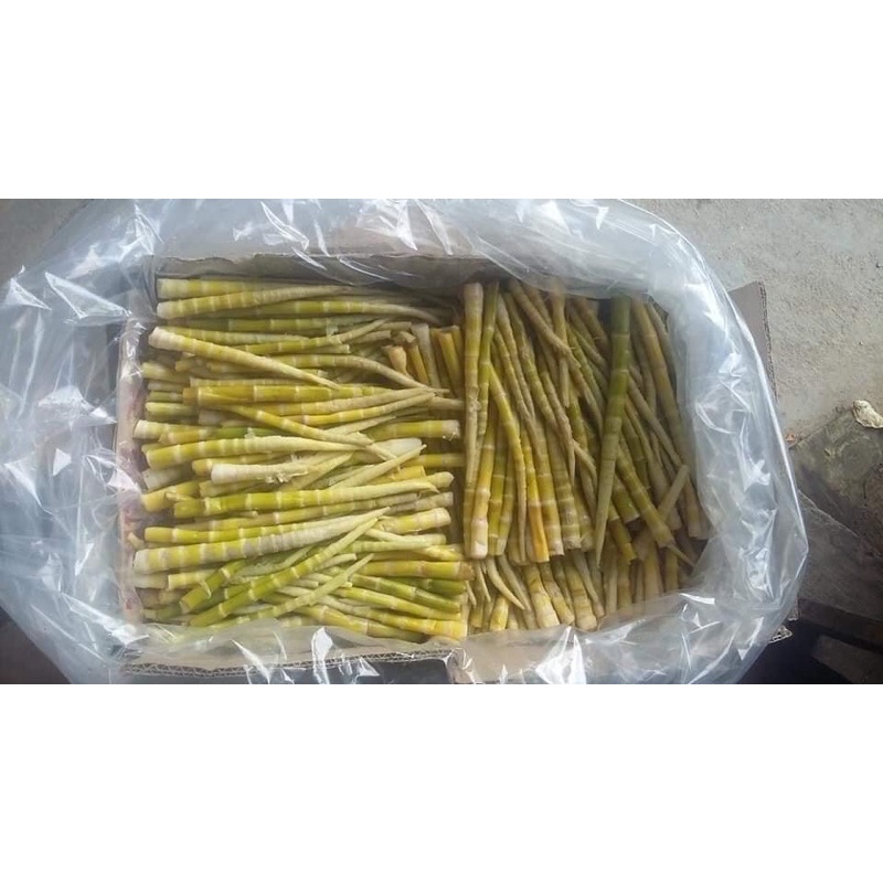 Măng trúc muối 100k/lọ 2lọ