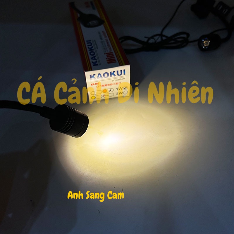 Đèn led rọi Mini 1W kẹp thành hồ cá thủy sinh BIOTOP KK-F05 cho bể 20-30 cm