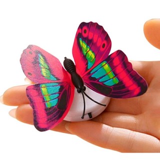 đồ chơi bướm có đèn led 3D xinh xắn