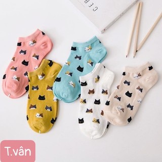sét 5 đôi tất Mèo nữ