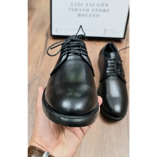 derby inhand G01