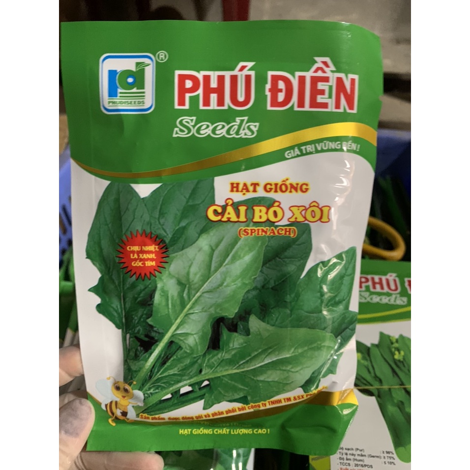 50g Hạt giống rau Cải Bó Xôi  chịu nhiệt, trồng quanh năm, lá hơi xẻ, màu xanh đậm