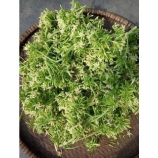 100g Hoa Đu Đủ Đực Khô Thơm Ngon