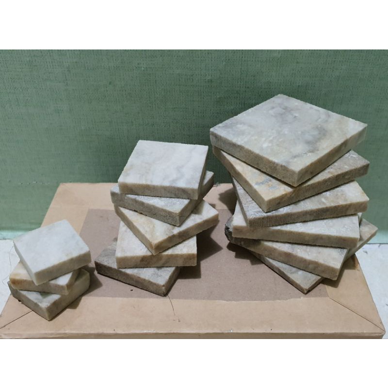 Đế frag gắn san hô