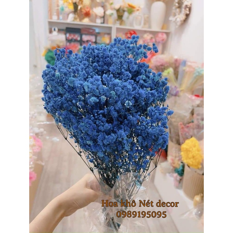 Hoa khô Gysophila Baby tự nhiên trang trí decor nhà cửa