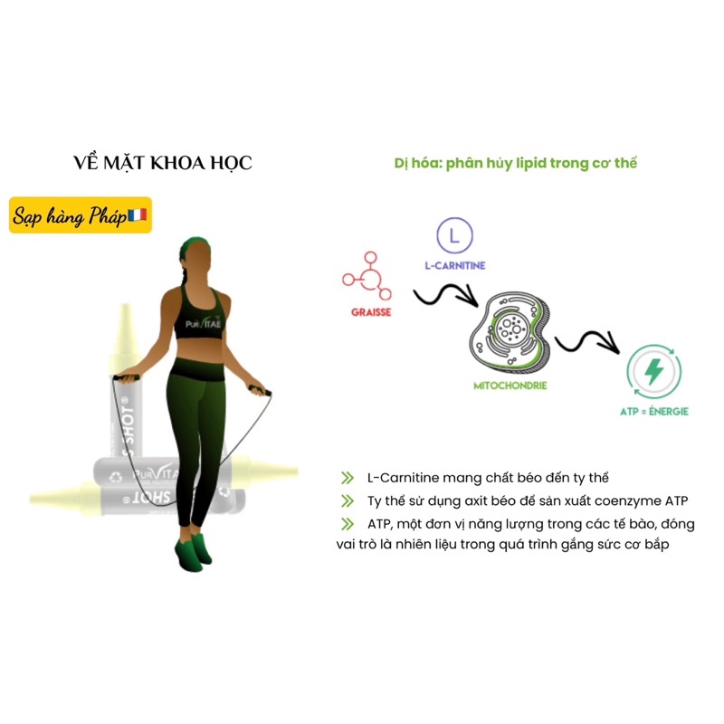 Đốt mỡ đa tầng chuyên sâu 𝐅𝐈𝐓𝐍𝐄𝐒𝐒 𝐒𝐇𝐎𝐓® 𝐒𝐢𝐥𝐡𝐨𝐮𝐞𝐭𝐭𝐞 nội địa Pháp