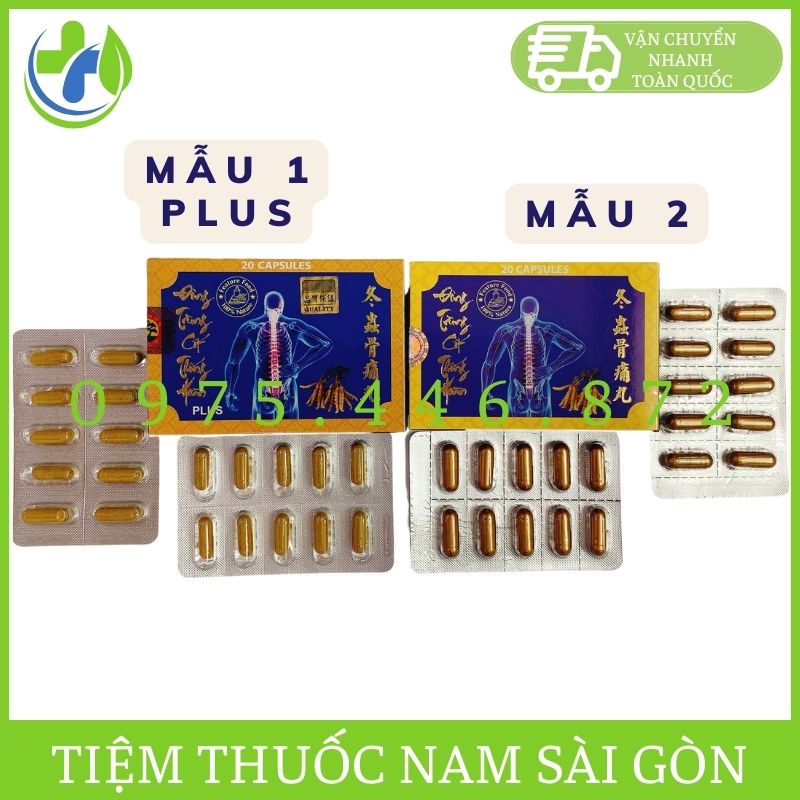 Đông Trùng Cốt Thống Hoàn Hộp 20v (Hàng xịn)