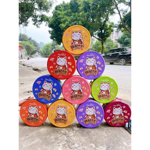 Bánh Quy Mèo Thần Tài Hộp Thiếc Tròn Nhỏ 100g-Mèo Top Savor