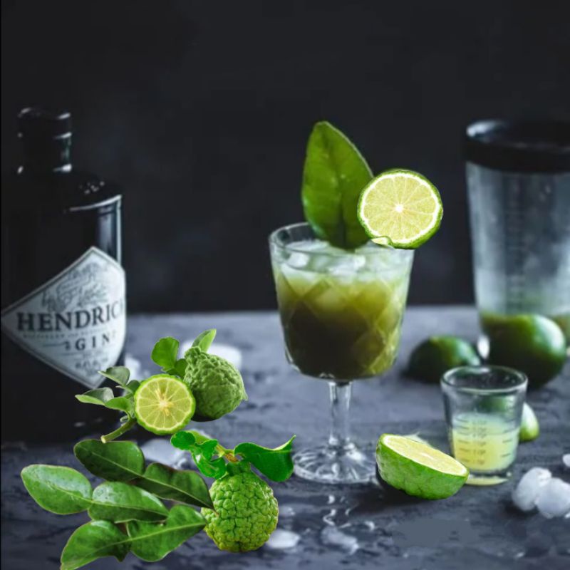 Trái Chúc  An Giang - 1kg