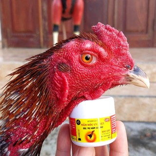 mốc bôi ưu việt