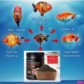 Cám cá vàng ranchu Bessn ord 540g thức ăn dạng nổi giúp tăng màu, tăng body, căng kì, cờ chuyên oranda.