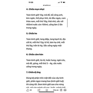 Chậu rau kinh giới