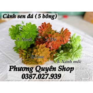 Cành sen đá giả 6 bông siêu đẹp, giống thật
