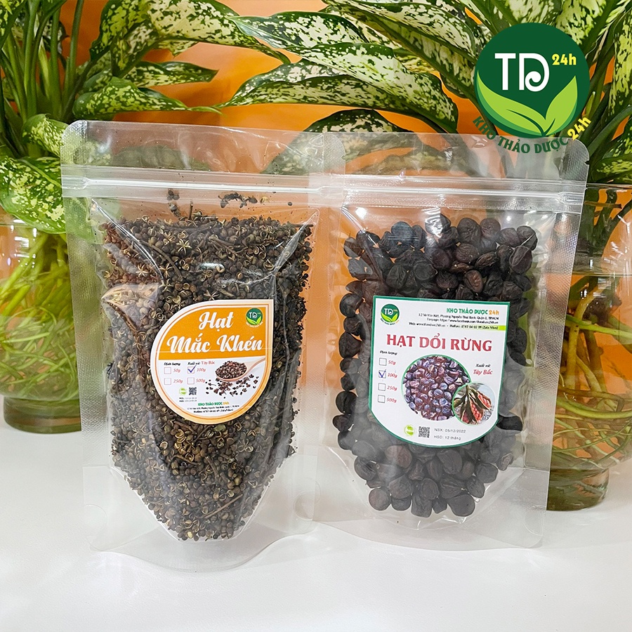 Hạt dổi rừng, gia vị ẩm thực nổi tiếng Tây Bắc | Kho thảo dược 24h