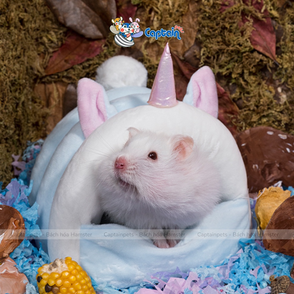 Nhà ngủ bông cao cấp Jonsanty cho Hamster