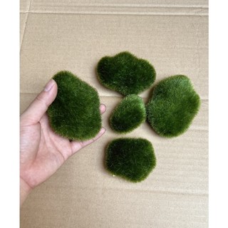 RÊU ĐÁ XỐP