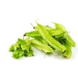 5gr hạt giống đậu rồng/ đậu khế