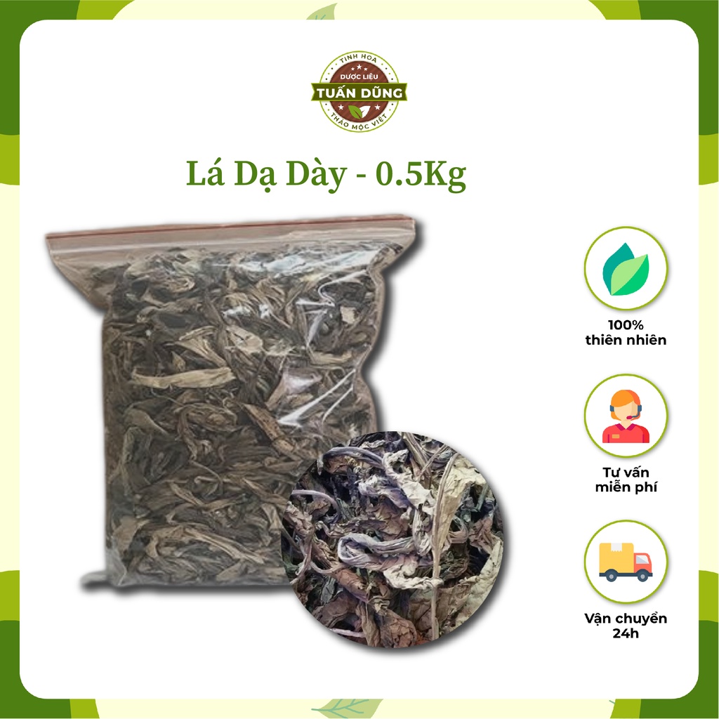 Lá Dạ Dày 1kg Hỗ Trợ Giảm Đau Dạ Dày, Đại Tràng - Dược Liệu Tuấn Dũng
