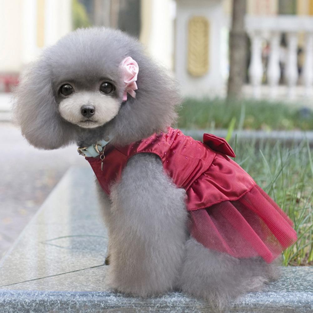 Đầm Công Chúa Phối Ren Đính Nơ In Họa Tiết Hoa Xinh Xắn Thời Trang Mùa Hè Cho Thú Cưng