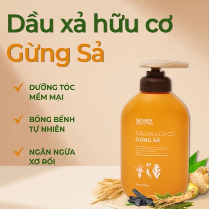 Dầu gội xả hữu cơ gừng sả Cỏ Cây Hoa Lá - Ngăn dầu bết tóc, giảm gàu, giảm ngứa (Chai 500g)