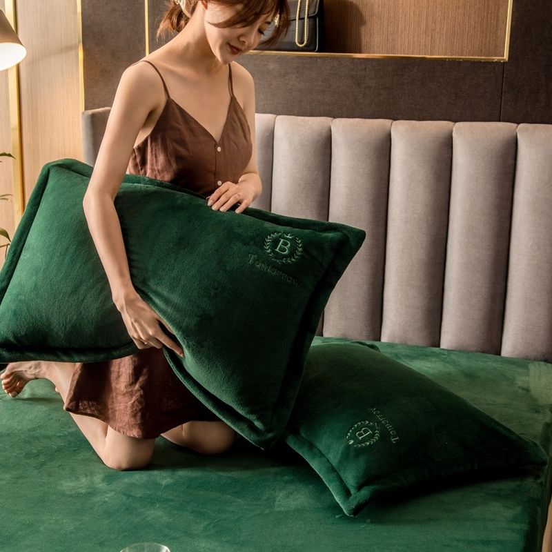 Cặp Vỏ Gối Lõi Nhung Dày Giữ Ấm Mùa Đông Thời Trang Dành Cho Gối Ký Túc Xá / Nhà