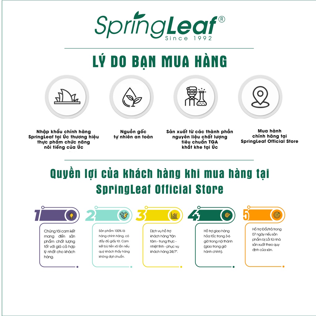 Viên uống hỗ trợ cải thiện tuần hoàn máu não Ginkgo Biloba Spring Leaf 2000mg 120 viên Úc