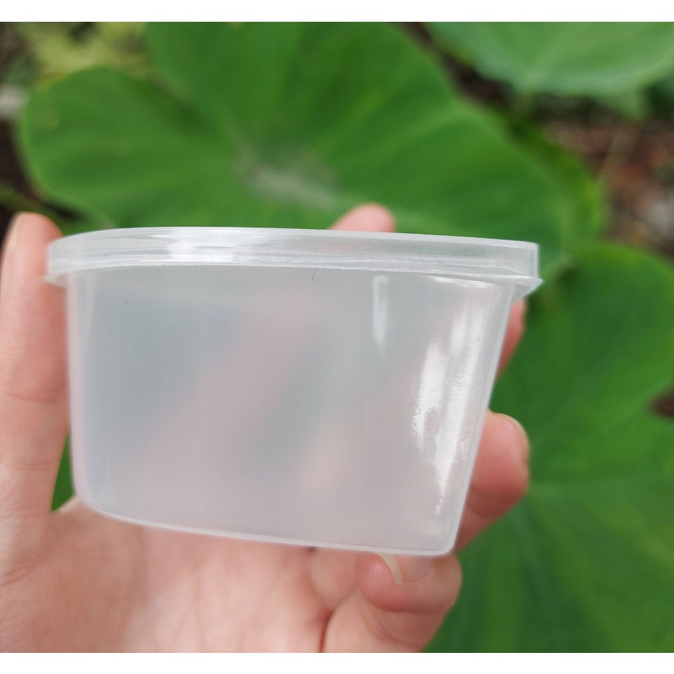 Khuôn Bánh Flan Có Nắp Hình Trái Tim Hình Bông Hình tròn combo 100 hộp